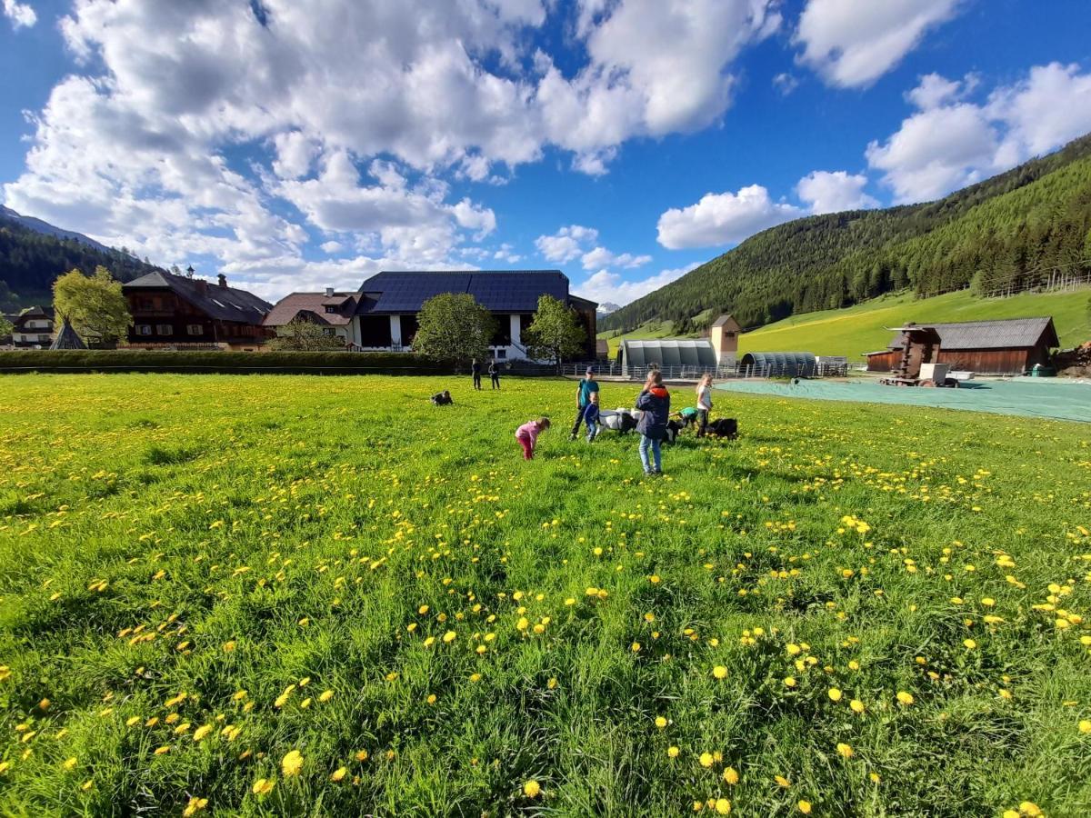 Sonnenchalet Neusess Mauterndorf  Εξωτερικό φωτογραφία